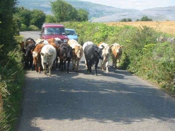 Traffic jam in the world