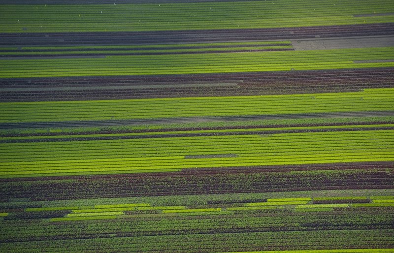 bird's-eye view aerial landscape photography