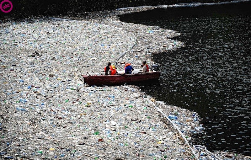 Great Pacific Garbage Patch