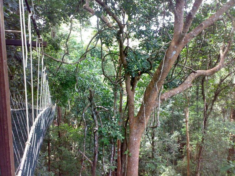 dangerous bridges