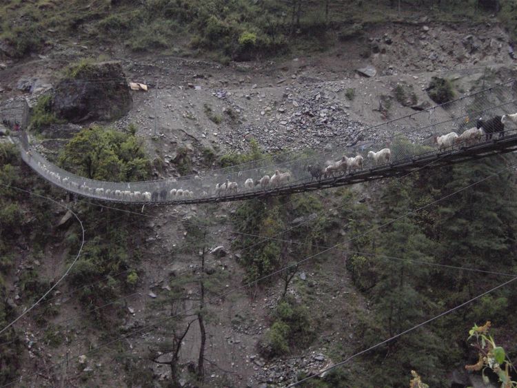 dangerous bridges