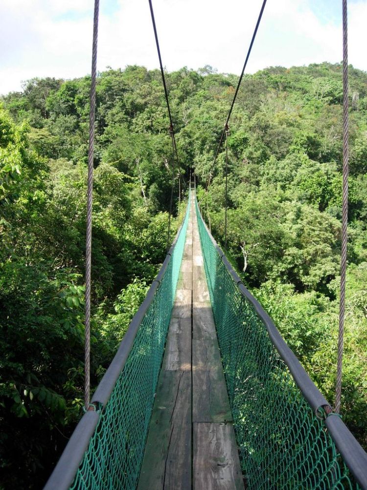 dangerous bridges