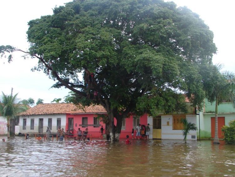 Floods leave 186000 homeless, Brazil