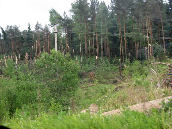 Tornado in Sergiev Posad