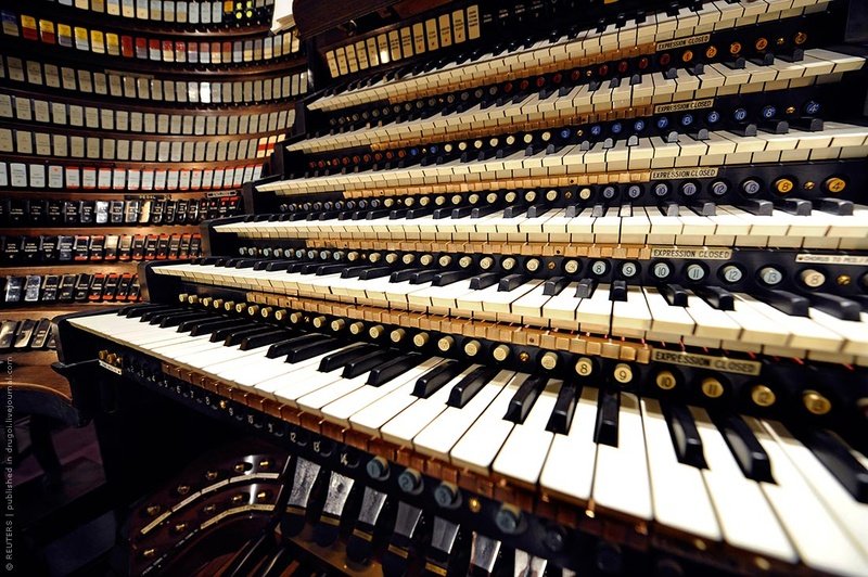 largest organ in the shopping center