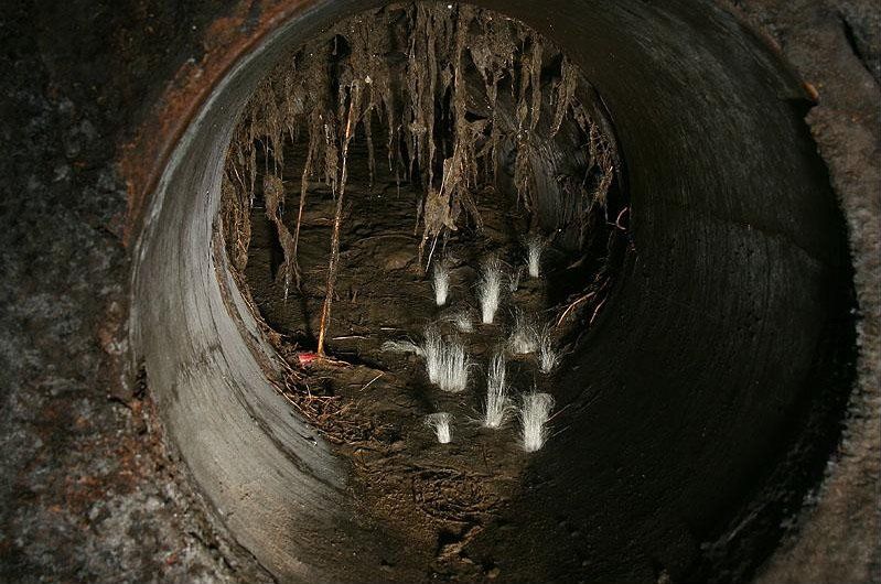 Underground, Moscow, Russia