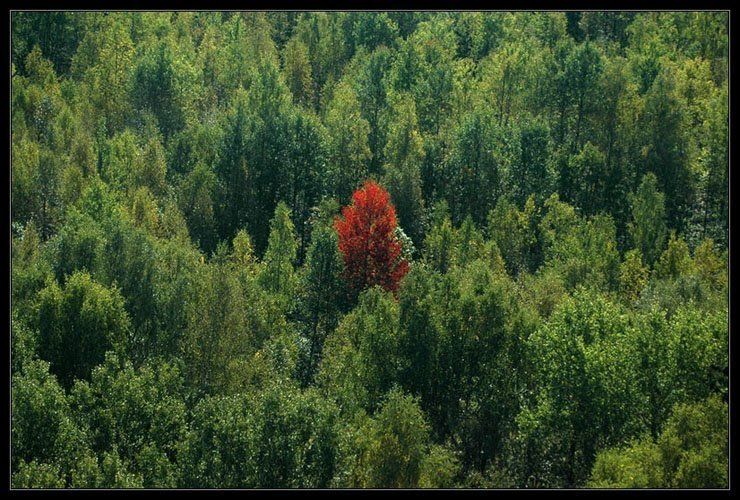 Bird's-eye view of Russia