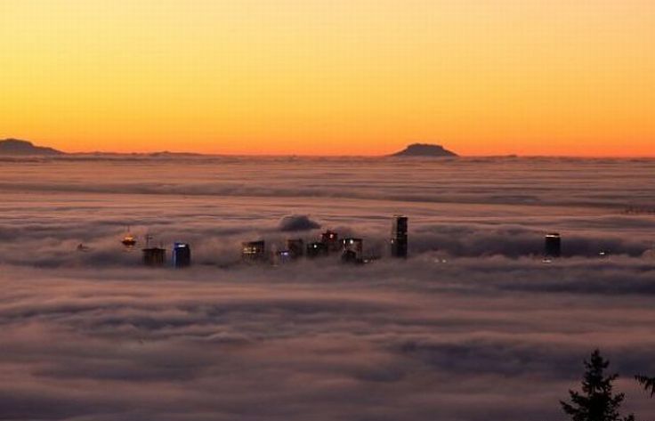 bird's-eye view of buildings above the clouds