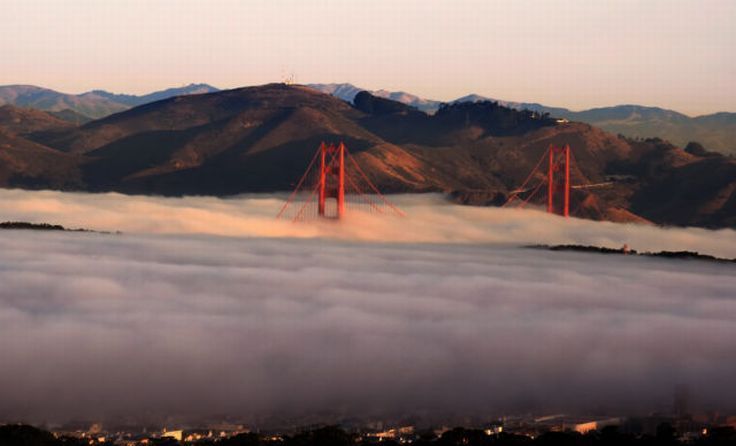 bird's-eye view of buildings above the clouds