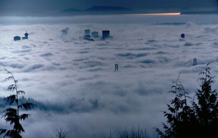 bird's-eye view of buildings above the clouds