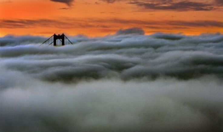 bird's-eye view of buildings above the clouds