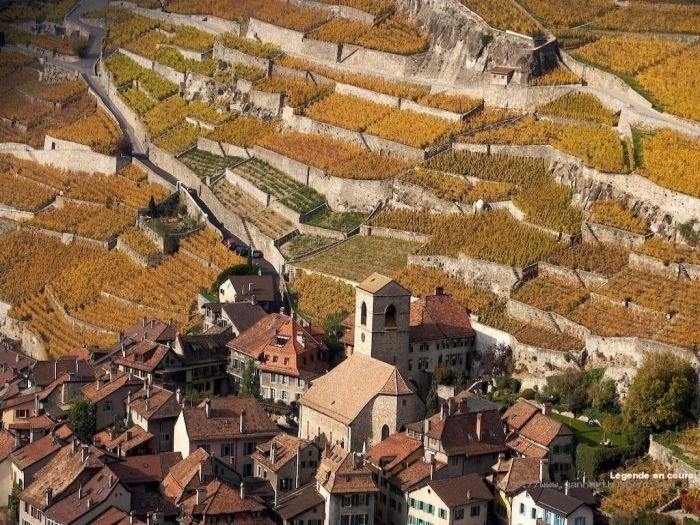 bird's-eye view aerial landscape photography