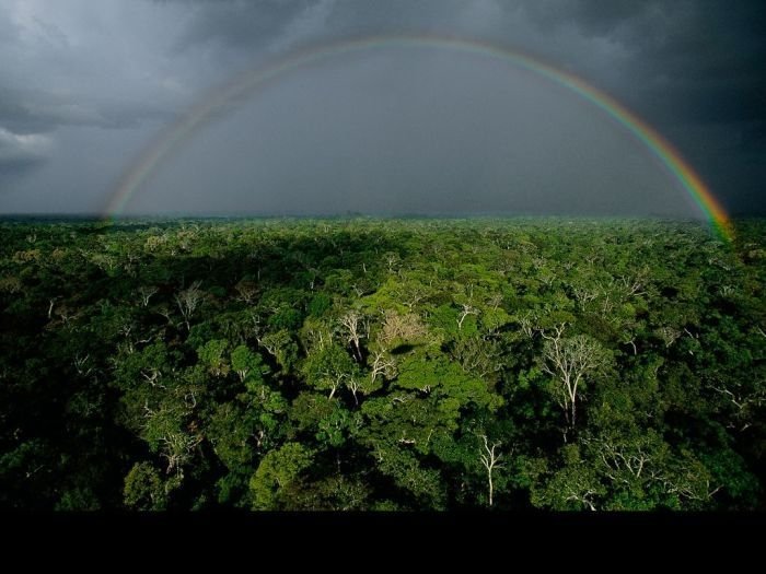 bird's-eye view aerial landscape photography