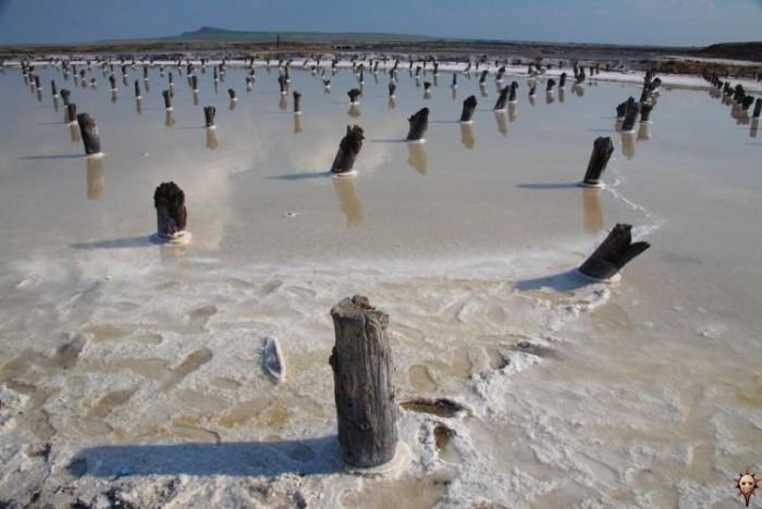 Salt Lake Baskunchak, Russia