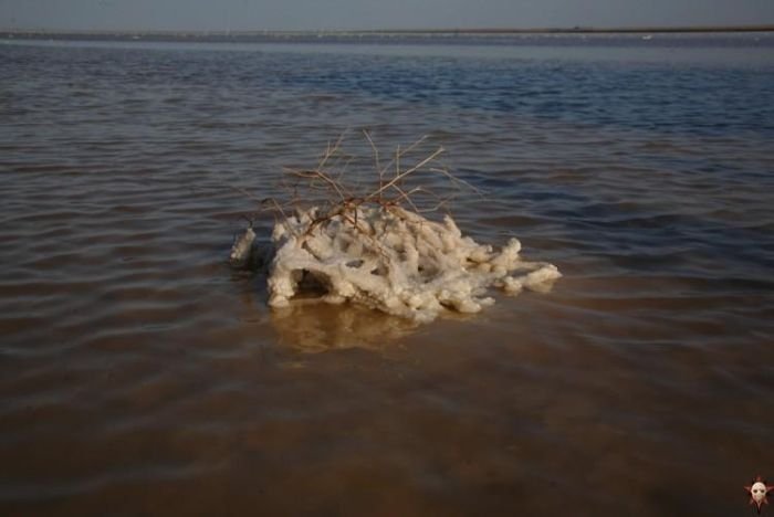 Salt Lake Baskunchak, Russia