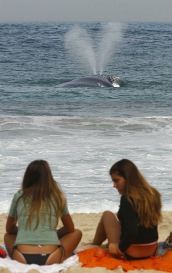 Life in Rio de Janeiro, Brazil