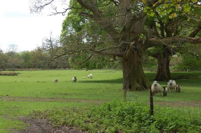 The Lost Gardens of Heligan, Mevagissey, United Kingdom