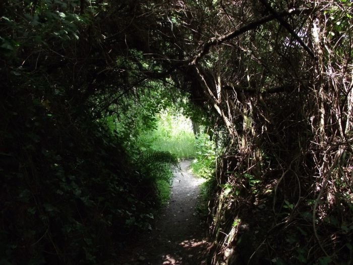 The Lost Gardens of Heligan, Mevagissey, United Kingdom