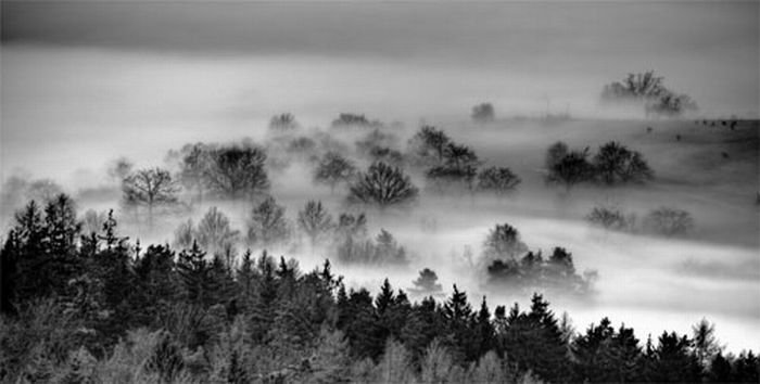 fog photography