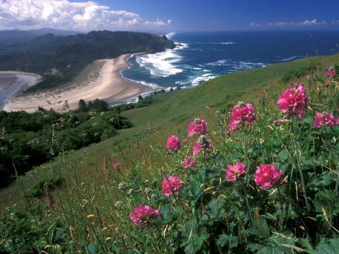 photos of beaches and shorelines