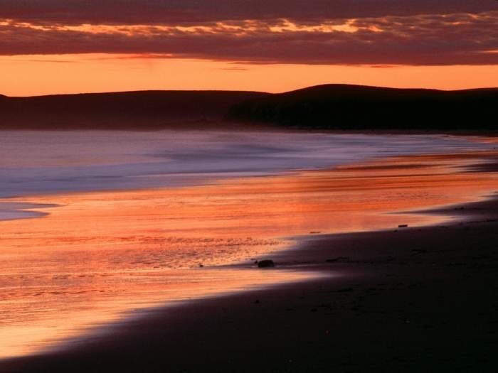 photos of beaches and shorelines