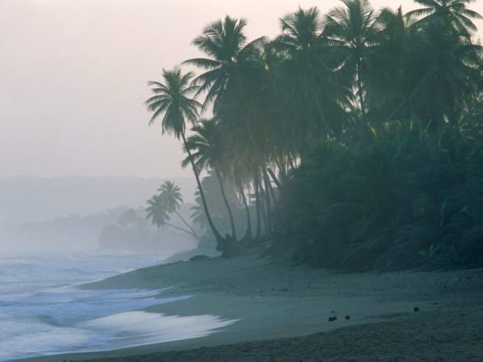 photos of beaches and shorelines