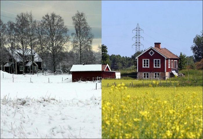 summer vs. winter photo