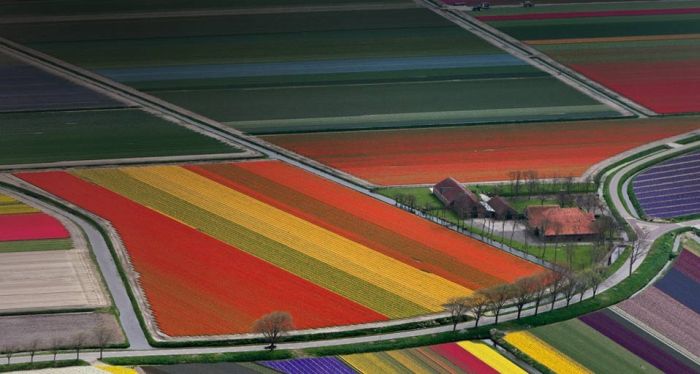 bird's-eye view aerial landscape photography