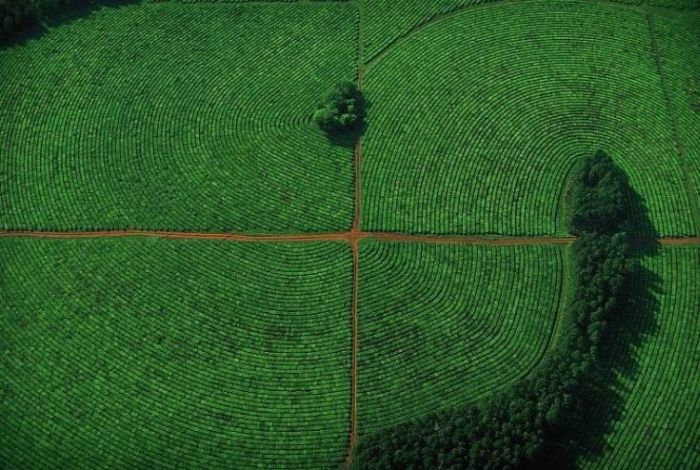 bird's-eye view aerial landscape photography