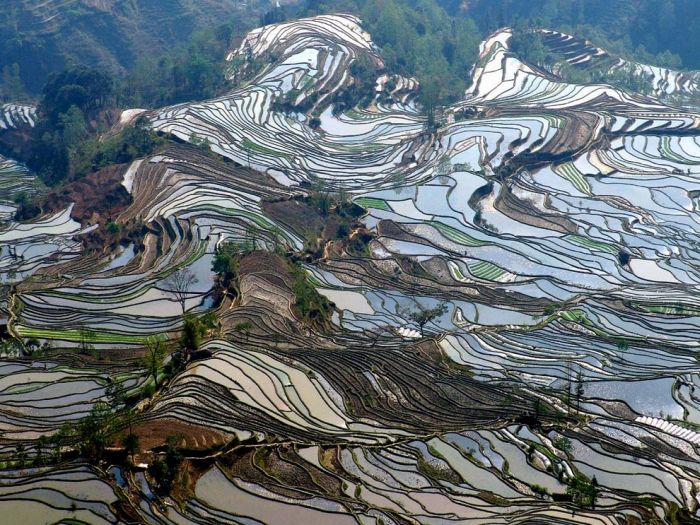 bird's-eye view aerial landscape photography