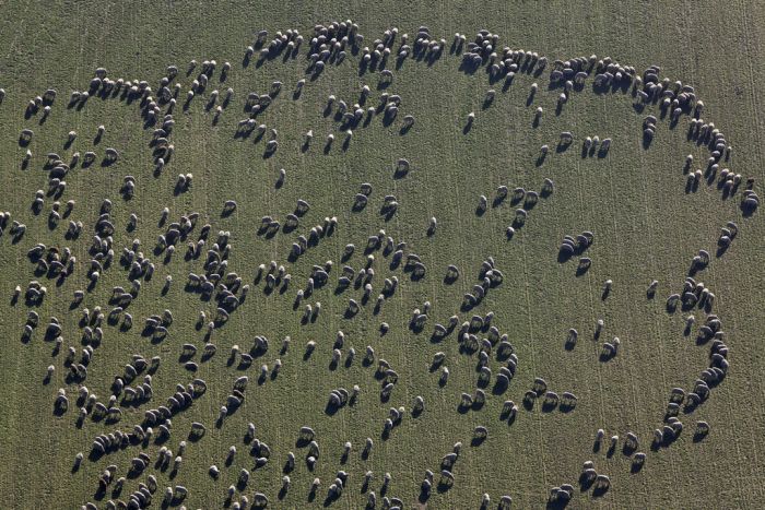 bird's-eye view aerial landscape photography