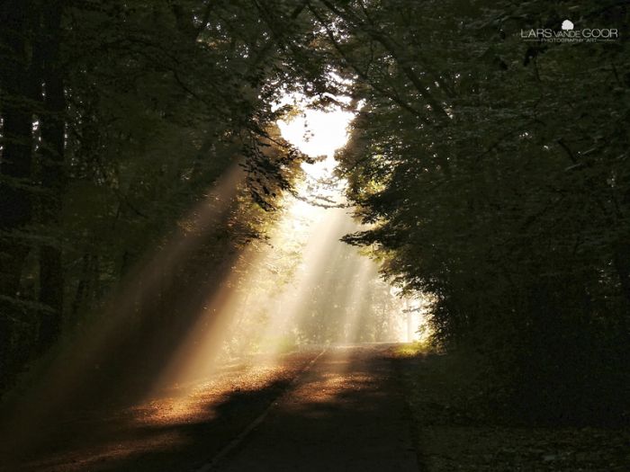 Nature landscapes by Lars Van De Goor