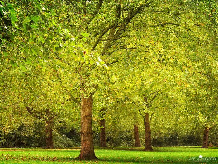 Nature landscapes by Lars Van De Goor