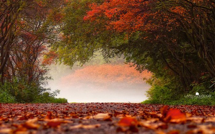 Nature landscapes by Lars Van De Goor