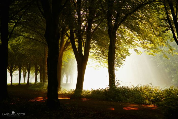 Nature landscapes by Lars Van De Goor