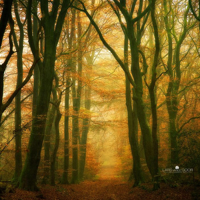 Nature landscapes by Lars Van De Goor