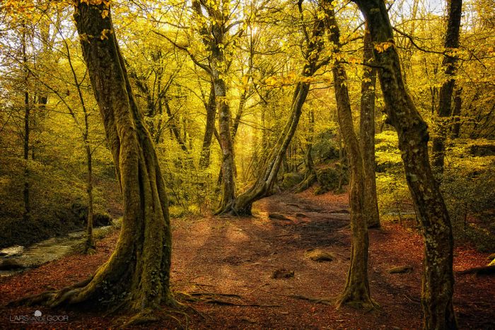 Nature landscapes by Lars Van De Goor