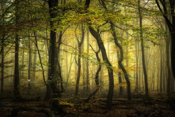 Nature landscapes by Lars Van De Goor