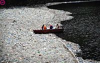 Trek.Today search results: Great Pacific Garbage Patch