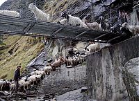 World & Travel: dangerous bridges